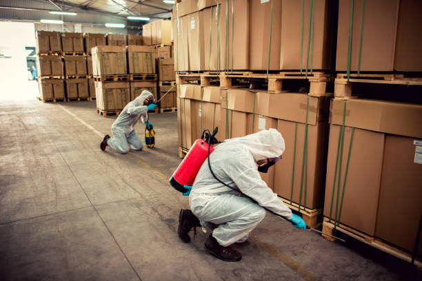 Best Wasp Removal Services  in Austin, MN