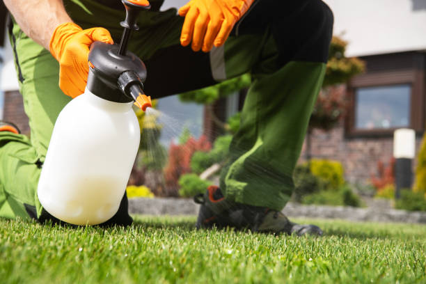 Best Residential Pest Control  in Austin, MN