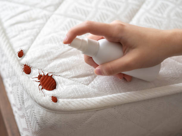 Best Pest Prevention Services  in Austin, MN