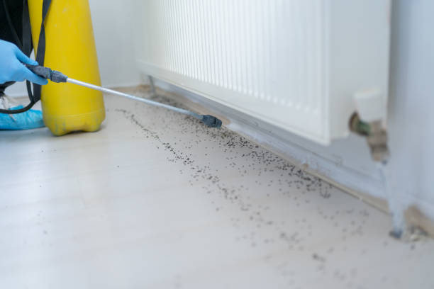 Best Bed Bug Extermination  in Austin, MN